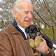 Illustration for article titled You're Going To Need This Puppy To Get Through The News